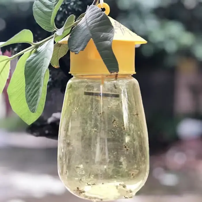 Piège à mouches pour fruits et vergers