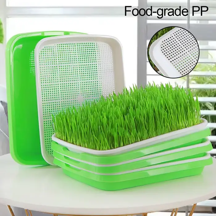 Bac de culture sans terre pour jardin domestique, balcon, portable, pour herbe pour animaux de compa