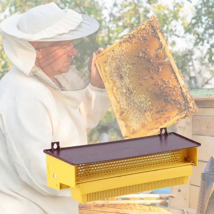 Piège à Pollen pour apiculture, collecteur de Pollen d'abeille en plastique avec plateau ventilé, am