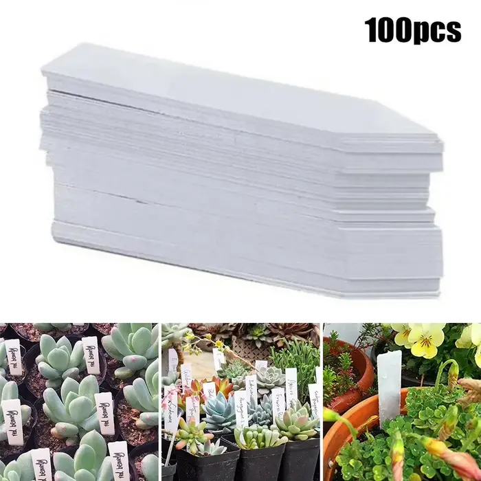 Étiquettes de plantes en plastique pour pots de fleurs, accessoires pour plantes de jardin, marqueur