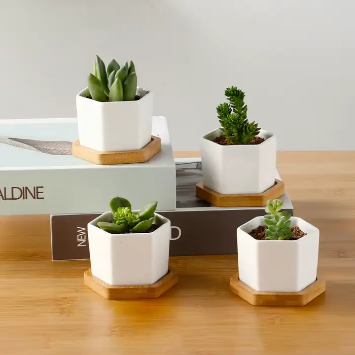 Pot de fleurs en céramique hexagonale blanche, pot de fleurs européen avec escalier, simple, récipie