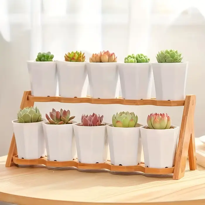 2/4//10 pièces de Pots de fleurs octogonaux blancs sont très adaptés aux cactus succulents et à la croissance des plantes intérieures et extérieures