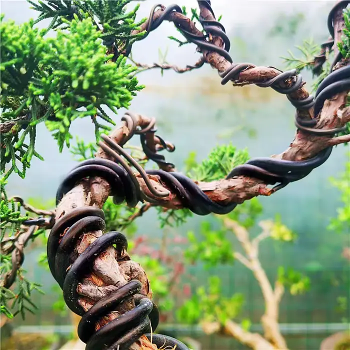 Fil de bonsaï en aluminium anodisé, 5m, support pour plantes, fil d'entraînement pour formes de plan