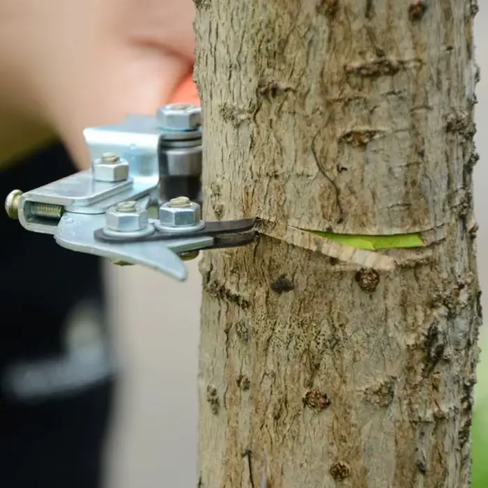 Coupe-anneau d'écorce d'arbre réglable, ciseaux de branche d'arbre, coupe-ceinture d'écorce, outil de cisaillement d'épluchage, décapant de jardin pour fruits