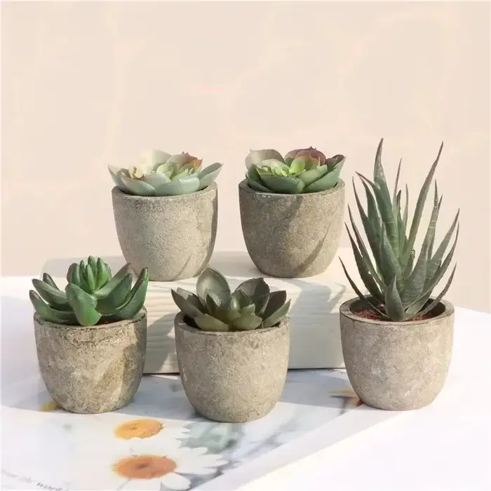 Mini plantes artificielles à l'aloe vera, bonsaï, petit arbre simulé, fausses fleurs, ornements de Table de bureau, décoration de jardin de maison