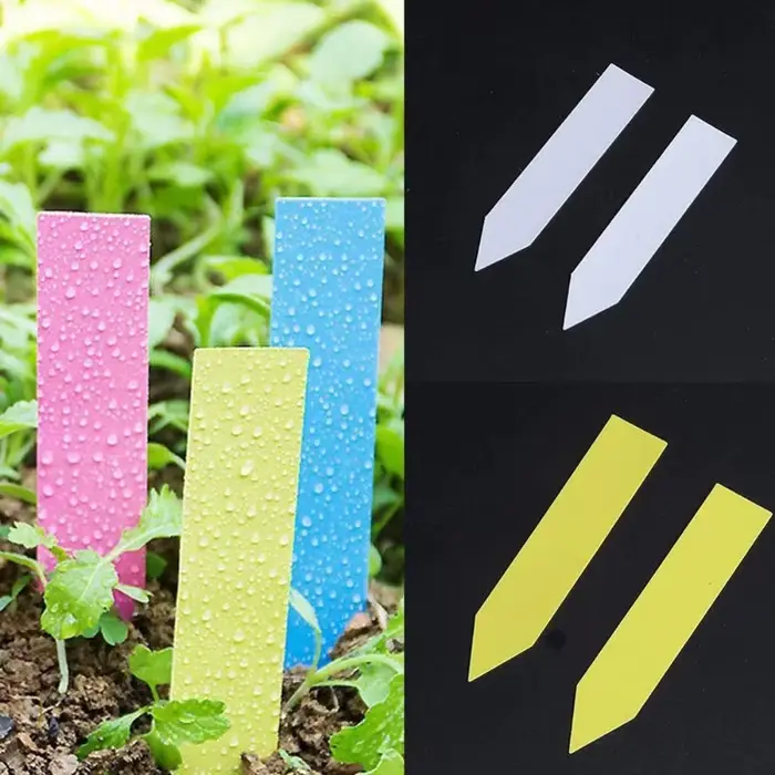 Étiquettes en plastique pour plantes de jardin, 5x1cm, 500 pièces, marqueurs de pépinière, pots de f