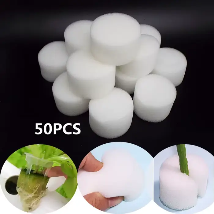 Éponge blanche pour paniers hydroponiques, 50 pièces, pour plantation de légumes de jardin, Pots de 