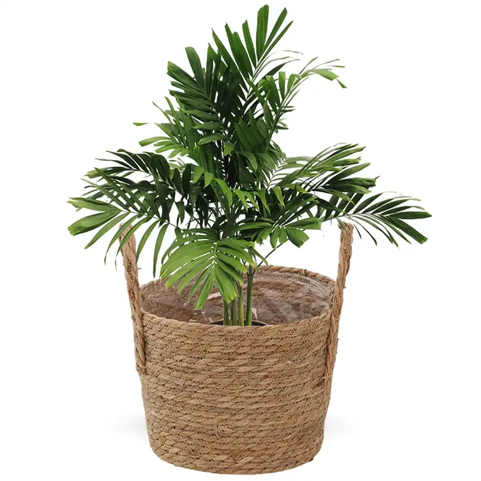 Panier de plantation en paille