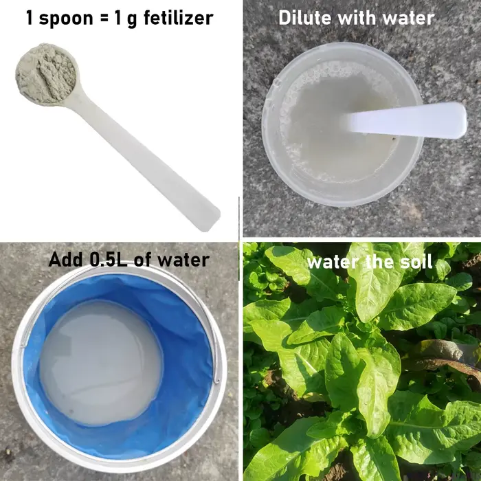 Engrais microbien soluble dans l'eau