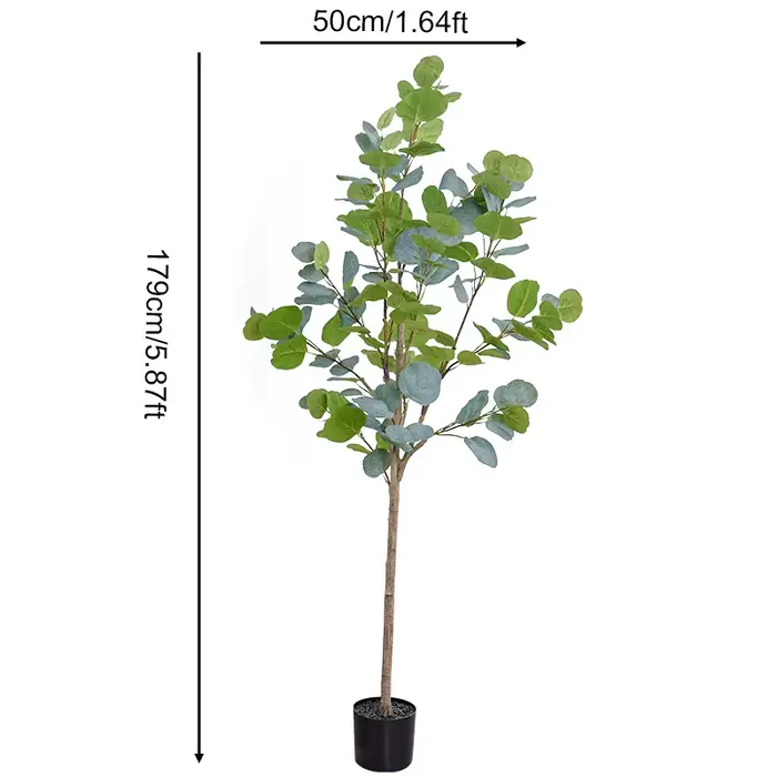 Plantes vertes de sol tropicales avec pot, grand arbre Él, branche d'eucalyptus, décorations pour la
