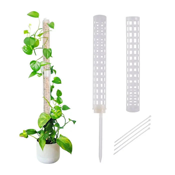 Colonne grimpante pour plantes, poteau en mousse sphagne, Support de croissance pour plantes, retenu