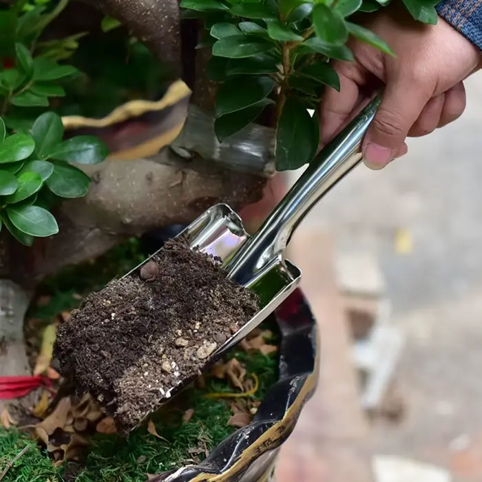 Petit outil de jardinage pour rempotage, pelle à nez pointu, pelle de jardin, pelle carrée