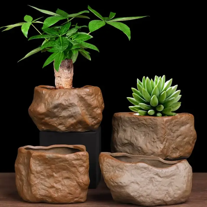 Pot Succulent en céramique résistant à l'usure en forme de pierre Cactus succulent Miniature bonsaï 