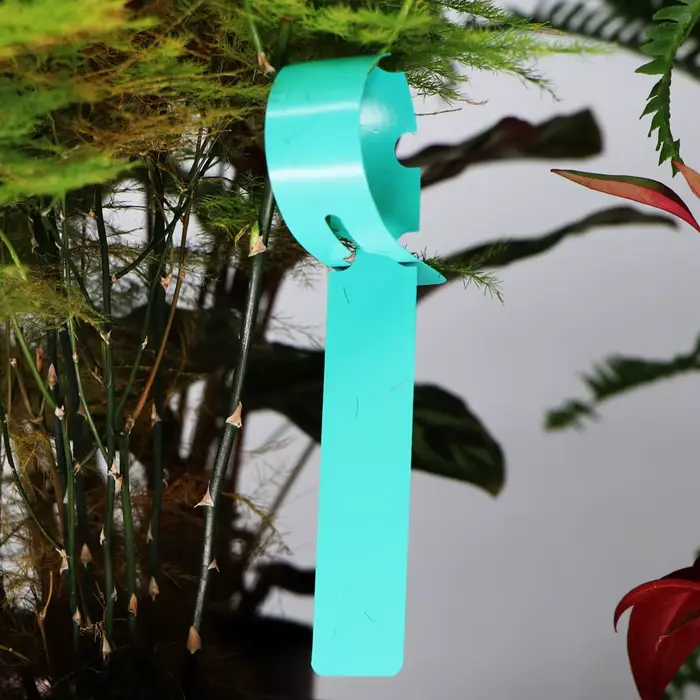 Marqueurs de plantes à anneau rectangulaire de jardin, étiquettes suspendues en pot, carte d'identif
