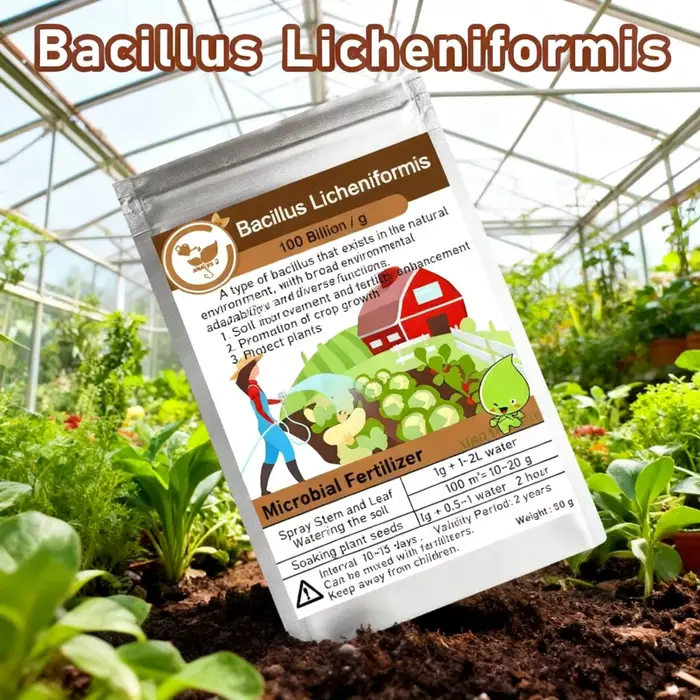 50g Bacillus Licheniformis 100 milliards d'engrais biologique microbien pour l'agriculture organique