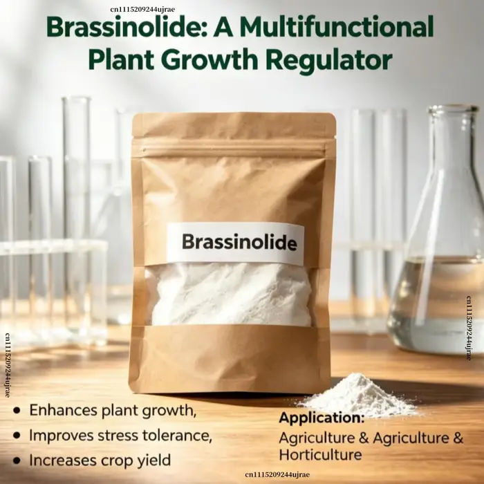 Brassinolide Régulateur de croissance des plantes Engrais organique foliaire