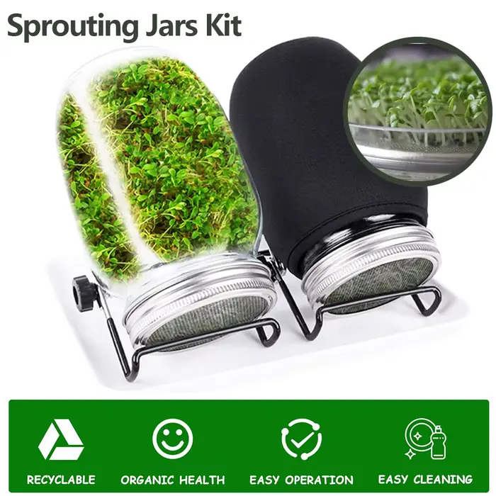 Kit de pot de germination de graines