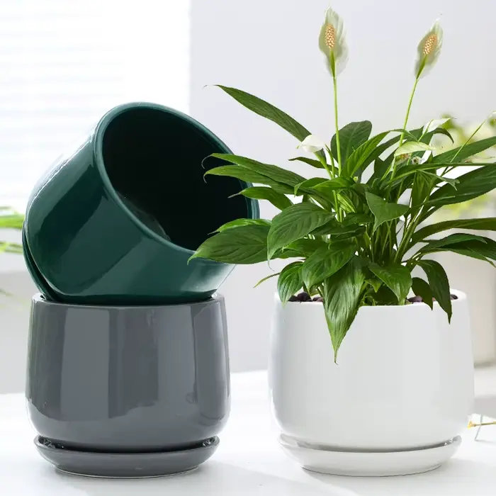 Pot de fleurs créatif en céramique