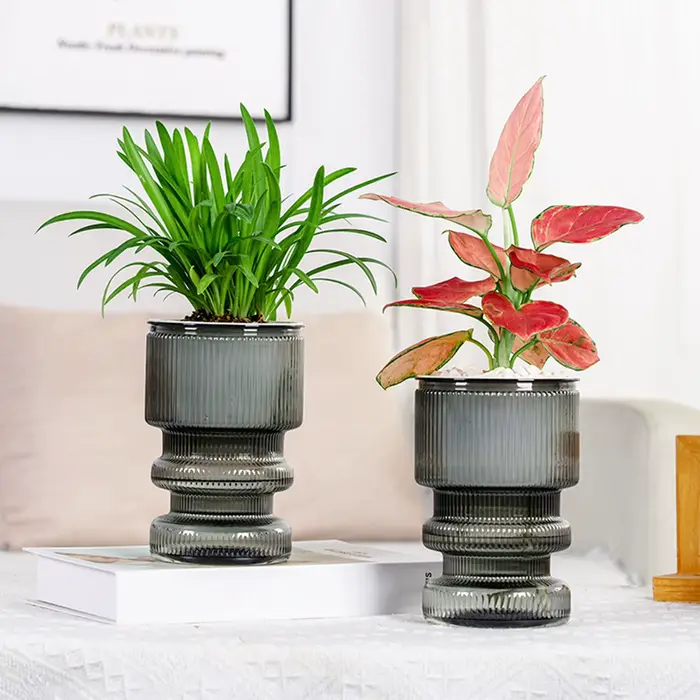 Pot de fleur hydroponique paresseux, pot de fleurs en plastique absorbant l'eau automatique, pot de 