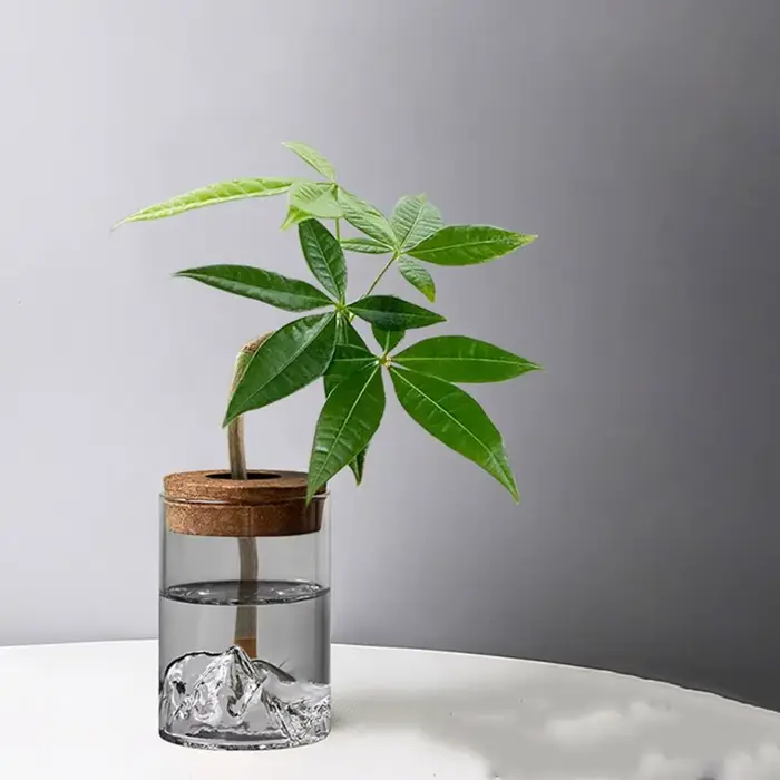 Vase à fleurs en verre bonsaï