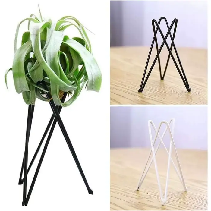 Porte-plantes géométriques, conteneur de bureau élégant pour la famille, les amis, le voisin, cadeau