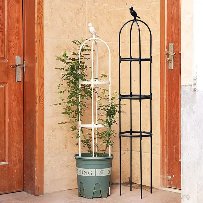 Support de jardin en treillis pour plantes grimpantes, cages pour plantes à fleurs, cadre de support