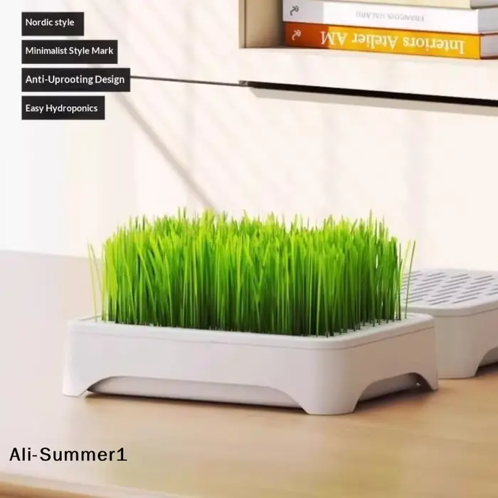 【E】Pot de culture hydroponique pour herbe à chat, culture sans terre, pot pour semis de blé, disposi