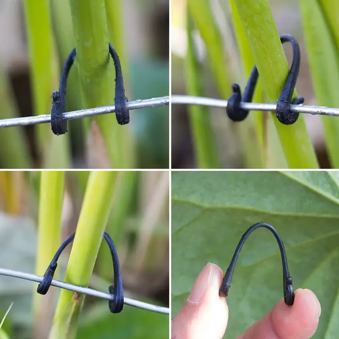 Clips fixes pour plantes de jardin, 100 pièces, boucles attachées, crochet d'arrimage pour Kiwi, rai