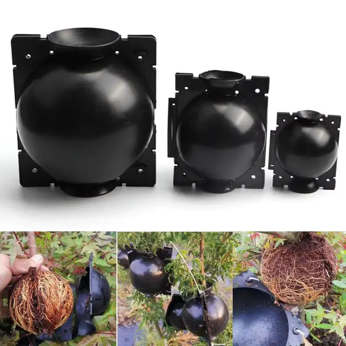 Plante Ro18th Ball Case pour arbre fruitier, boîte à racines, jardinières, greffe, élevage, outils d