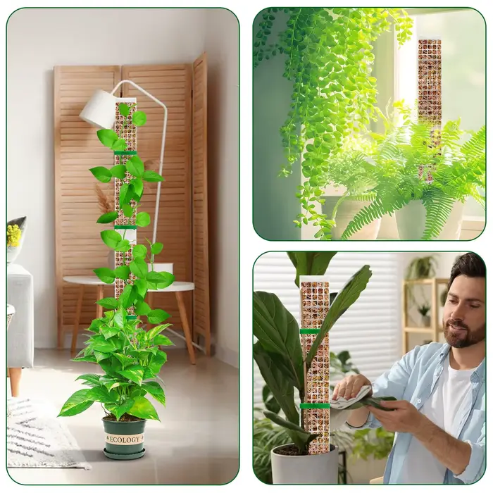 Plantes mousse pôle jardin sujet fleur plante grimpeurs bonsaï accessoires Pots Tutors, pour jardini