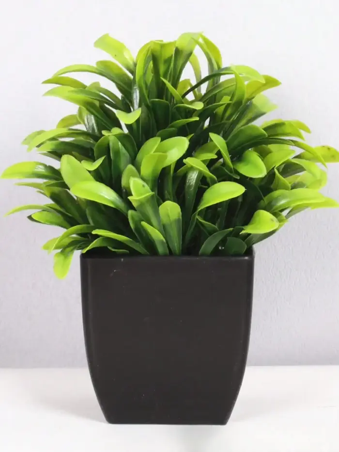 Pot noir de fausse plante, Mini plante artificielle en Pot d'eucalyptus pour la décoration intérieur