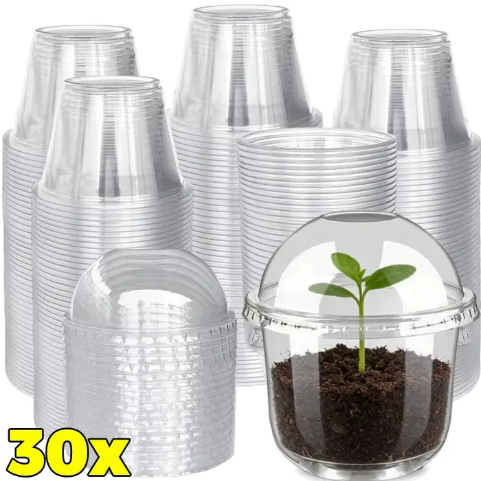Pot de pépinière transparent avec couvercle respirant, pot de démarrage pour graines, conteneur pour