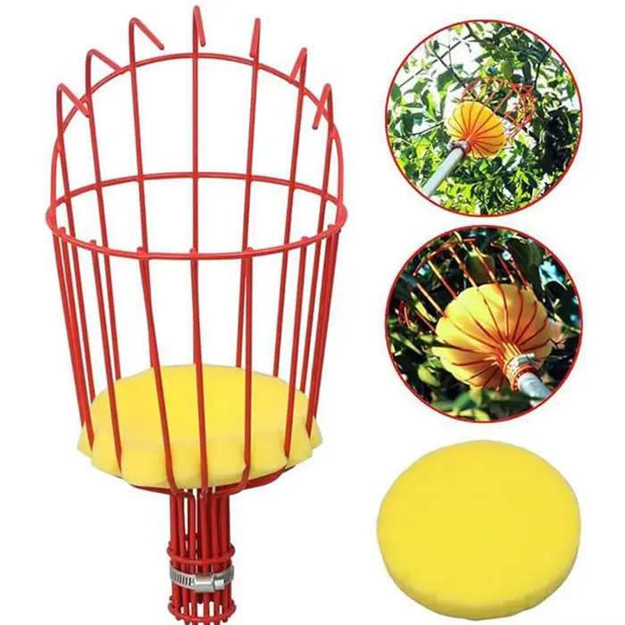 Outils de cueillette de fruits, fournitures agricoles, nouvel outil de nouveauté, jardinage manuel, 