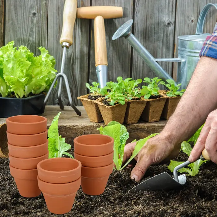 Mini pot de plantes en terre cuite