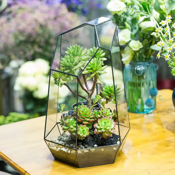 Jardinière en verre pour décoration de jardin de maison