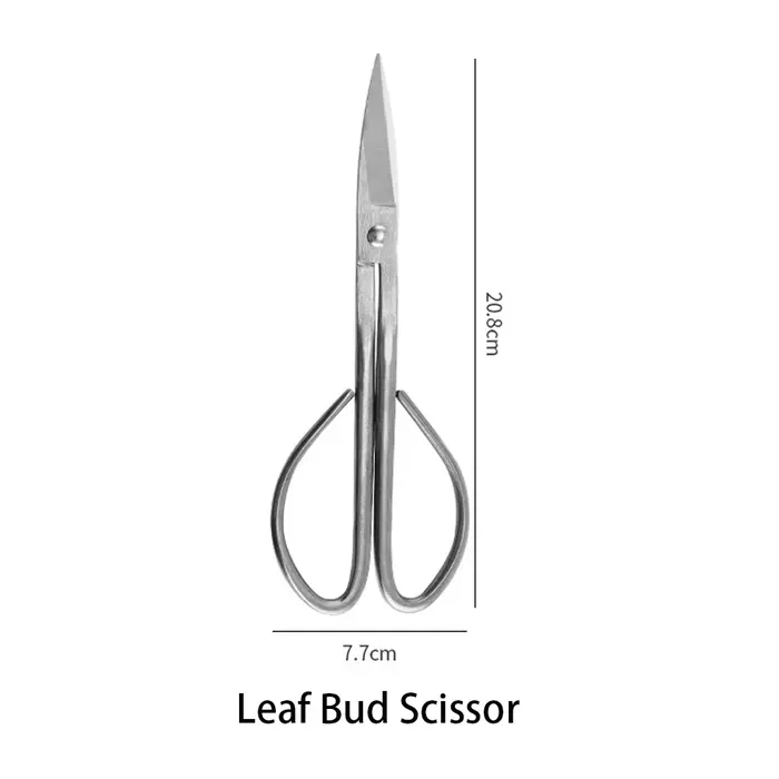 Outils de bonsaï, coupe-raine professionnelle, ciseaux de jardin, nœuds de bonsaï, outils d'élagage 