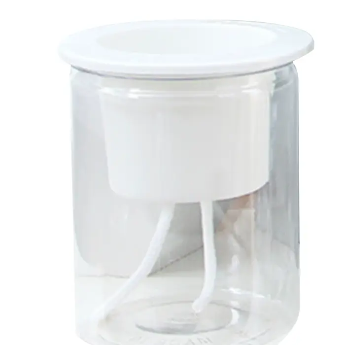 Mini Pot rond pour plantes succulentes, sphérique Transparent, Pot de fleur pour animaux de compagni