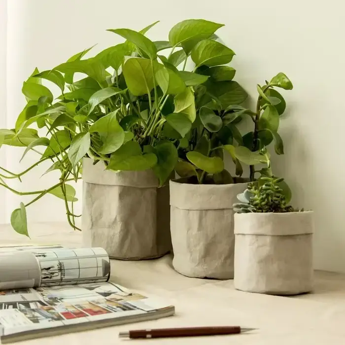 Pot de fleurs en papier Kraft lavable
