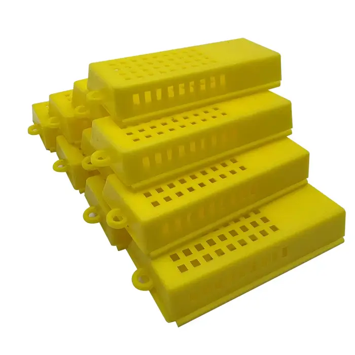 Grille de Transport pour apiculture, Cage en plastique, roi prisonnier, reine des abeilles, collecte