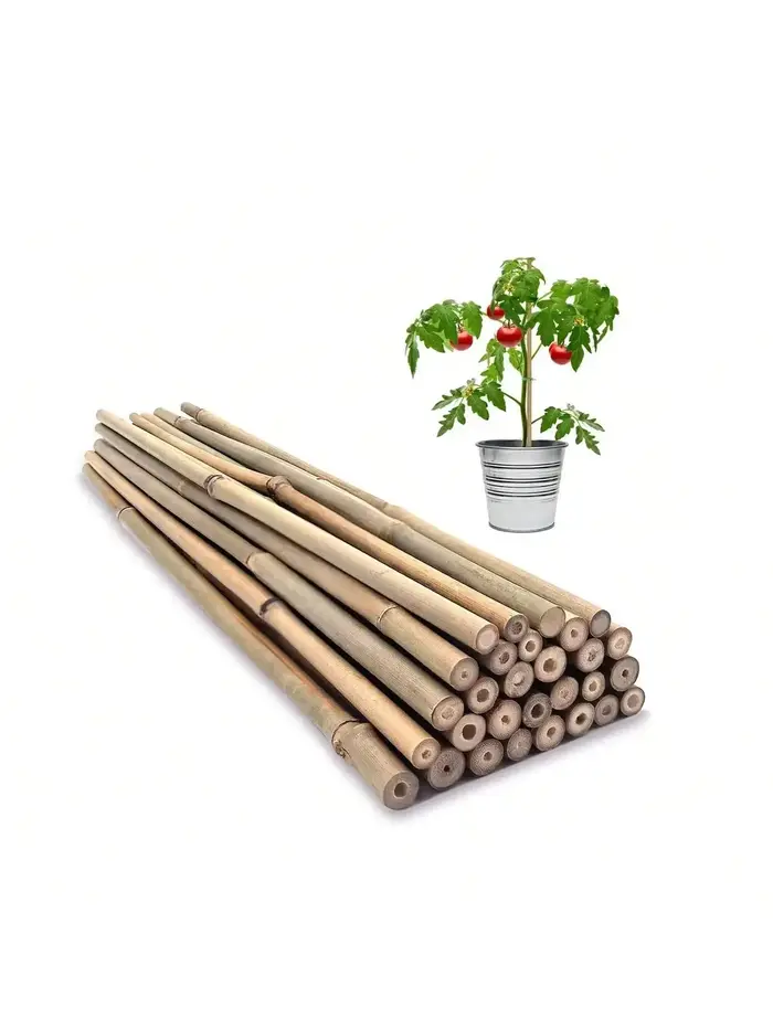 Piquets en bois de jardin en bambou, 20 pièces, plantes en bambou écologiques, piquets en bois, plan