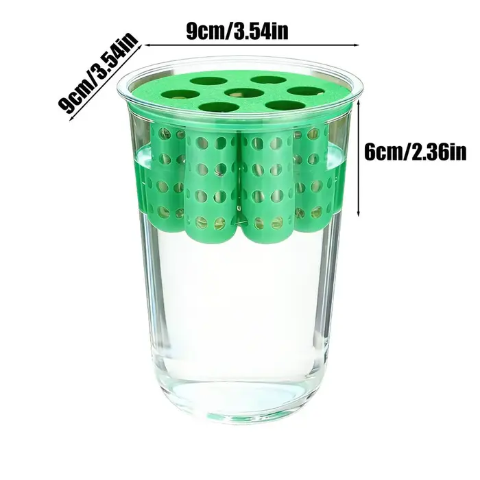 Pot de culture pour la reproduction des oignons verts, pot de culture transparent pour oignons verts