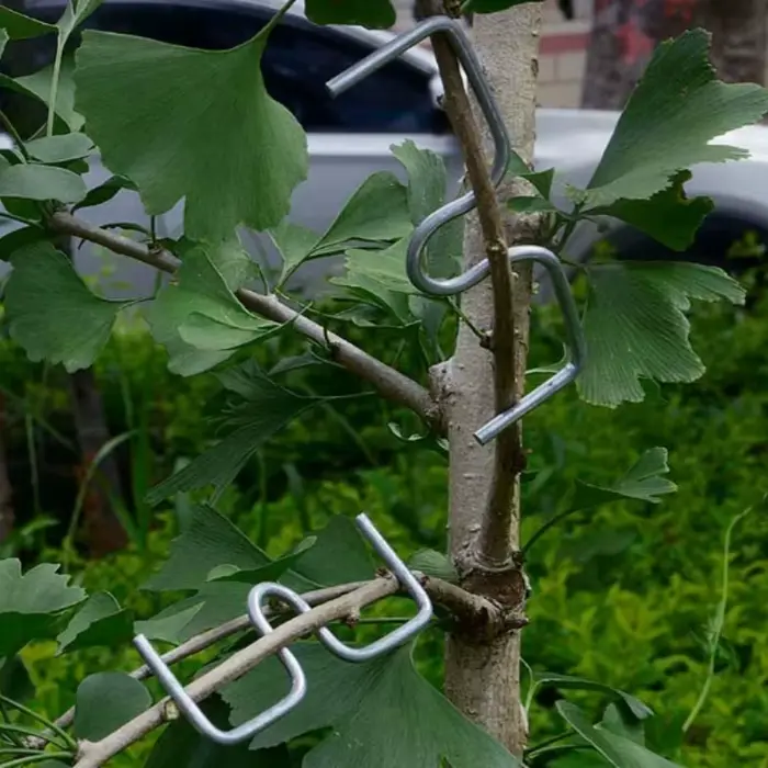 Kit d'outils de pliage de branches d'arbres fruitiers, 50 pièces, outils manuels de pliage de branches pour la mise en forme et l'écartement, outils de culture pour vergers