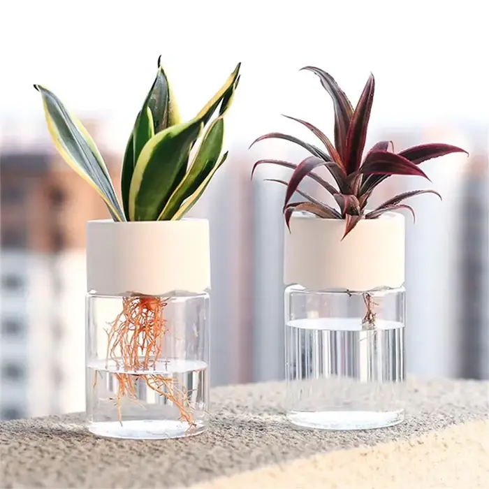 Mini Pot de fleur hydroponique, Vase de plante Transparent sans sol pour la décoration de la maison,