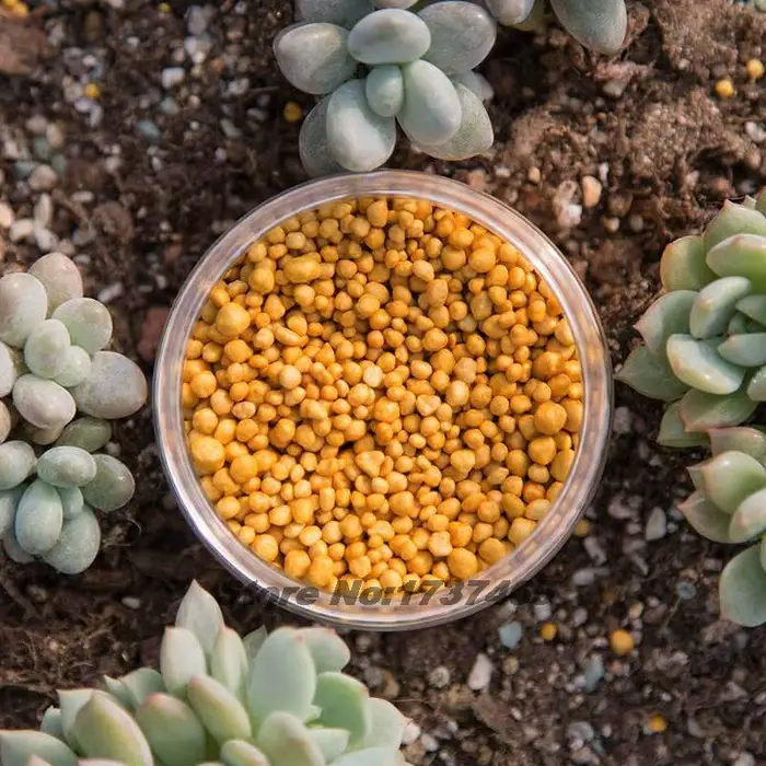 Engrais à libération contrôlée 130g pour plantes succulentes